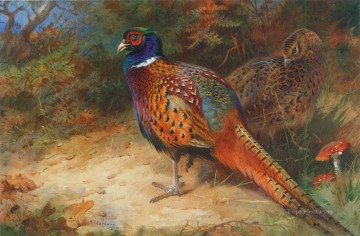下草の中の雄鶏と鶏キジ 1927 鳥 Oil Paintings